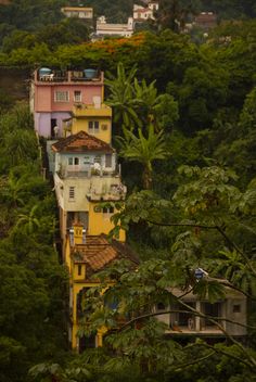 some buildings are in the middle of trees