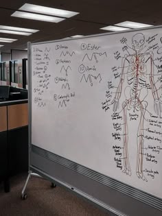 a whiteboard with some writing on it in an office cubicle, showing the human body and nervous system