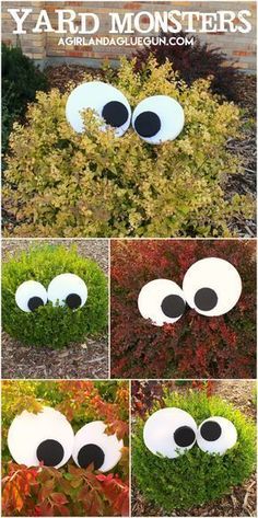 some fake eyes are placed in the bushes