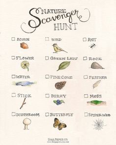 the nature scavenger hunt is shown in this hand drawn illustration, which includes different types