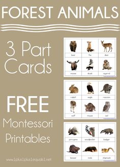 three part cards with pictures of animals and the words 3 part cards free montessori print