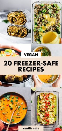 vegan freezer - safe recipes are the best way to keep your food fresh