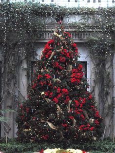 the christmas tree is decorated with red flowers