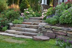 stone steps lead up to the front door of a house with flowers and shrubs around them