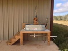 a dog is sitting in an old metal tub on a wooden table outside the building