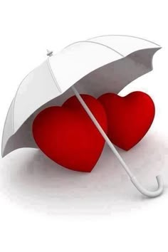 two hearts are placed under an umbrella