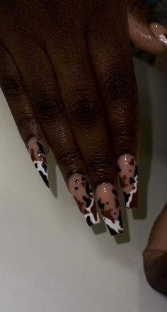 Cow print designed press-on nails. (Long Coffin in photo) Western Long Nails, Cow Print Press On Nails, Tiger Design Nails, Short Square Cow Print Nails, Cow Print Fall Nails, Texas Themed Nails, Cowhide Nails, Nail Ideas Country, Brown Cow Nails