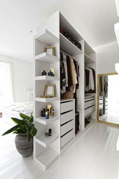 a white closet with drawers and shelves filled with clothes next to a large potted plant