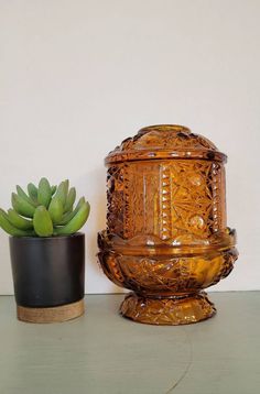 a potted plant sitting next to a glass container on a table with a white wall in the background