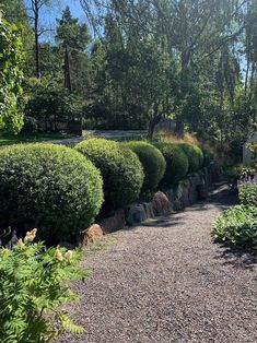 a gravel path surrounded by trees and bushes