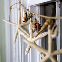 starfish and seashells are hanging from a rope