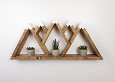 three potted plants are sitting on wooden shelves