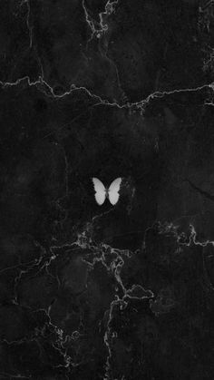 a white butterfly sitting on top of a black marble floor with cracks in it's walls