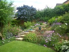 a lush green yard filled with lots of purple and white flowers on top of it