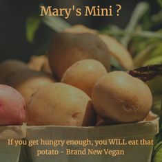 some potatoes are in a paper bag with the words mary's mini? if you get hungry enough, you will eat that potato potato - brand new vegan