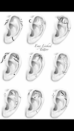 an ear is shown with different shapes and sizes