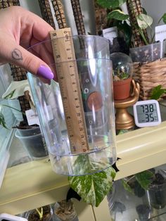 a person holding a glass with a measuring tape on it and plants in the background