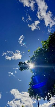 the sun shines brightly through the trees on a clear, sunny day with blue skies and white clouds