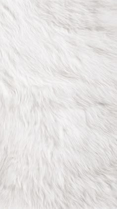 the white fur texture is very soft and fluffy, but it doesn't look like any