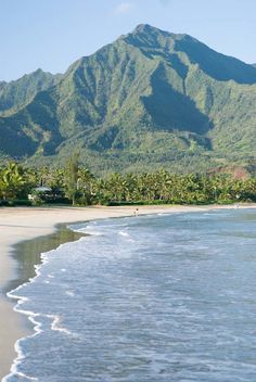 a beach with mountains in the background