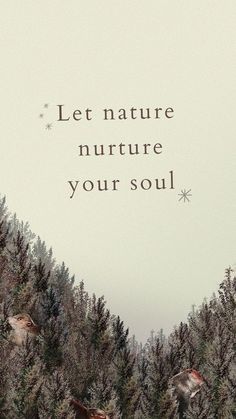 the words let nature nurture your soul are surrounded by trees