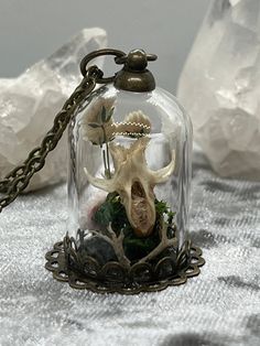 This handcrafted skull terrarium is perfect for anyone who wants to wear a touch of macabre. Whether you love nature or just like bones, this necklace is a cute wearable oddity.  The glass dome measures approx. 18mm x 25mm. The glass is adhered to the base. The contents are secured inside and should not move about. The bronze chain necklace is 20".  The skull is real, ethically sourced from natures blind box. It was dissected, cleaned, soaked for sterilization & dried. This art piece features dr Skull Terrarium, Spooky Drinks, Bronze Chain Necklace, Real Skull, Terrarium Necklace, Preserved Moss, The Skull, Skull Pendant, Love Nature