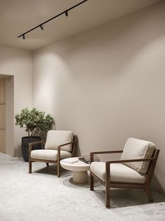 two chairs and a table in a room with a plant on the wall behind them