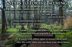 steps leading to forest bathing in the woods with instructions on how to take it easy