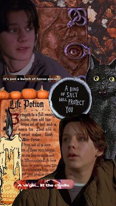 a collage of pictures with cats and people in them, including a cat on top of a candle