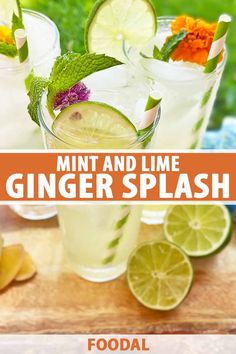 mint and lime ginger splash recipe with text overlay