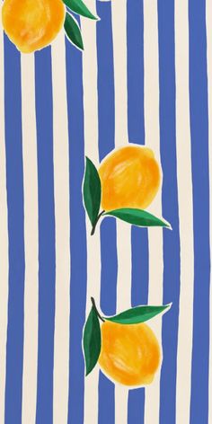 three oranges with green leaves on blue and white striped background