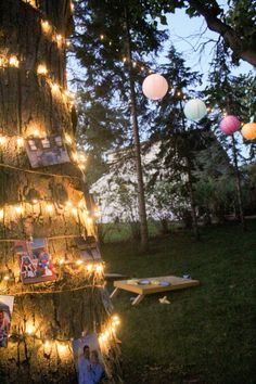 a tree that has been decorated with pictures and lights