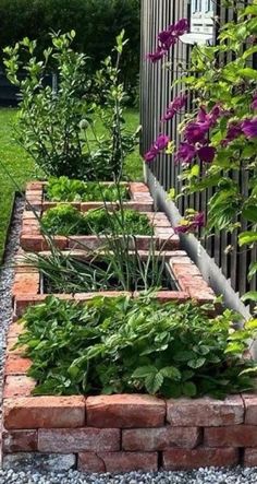 a garden filled with lots of plants next to a fence