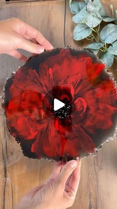 two hands are holding a red flower on a wooden table with greenery in the background