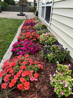 colorful flowers line the side of a house