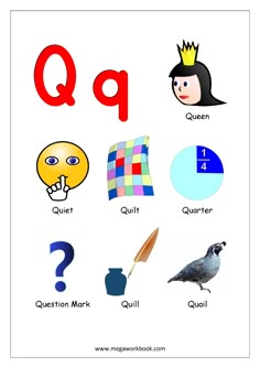 the letter q is for quail and other things that are in front of it