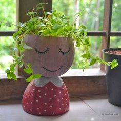 a potted plant sitting on top of a window sill