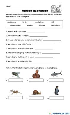 worksheet with animals and plants in english