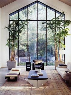 a living room filled with lots of furniture and tall plants in the windows above them