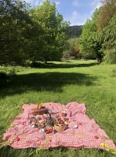 a picnic blanket with food on it in the middle of a grassy area surrounded by trees