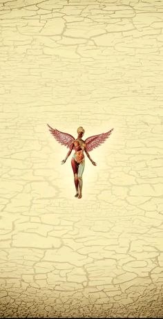 a woman with wings flying in the air over a cracked ground and dirt flooring