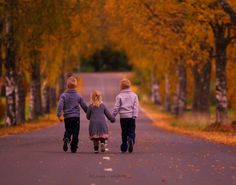 three children are walking down the road holding hands and looking up at trees with yellow leaves