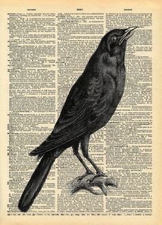 a black bird sitting on top of an old book page with words in the background