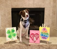 a dog is sitting next to some cards