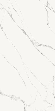 a white marble textured background with black lines