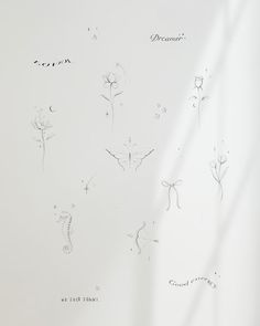 a white wall with drawings and writing on it's side, including dandelions