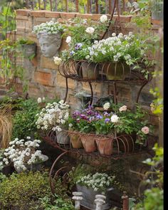 an assortment of potted plants are displayed in pots on a garden wall with iron planters