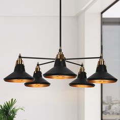 three black and gold pendant lights hanging from a ceiling fixture in an office space with potted plant on the far side