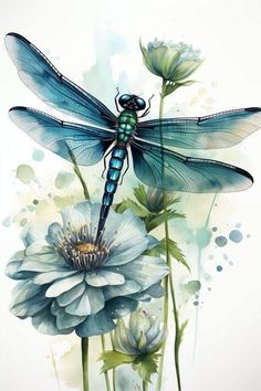 a blue dragonfly sitting on top of a flower next to a large white flower