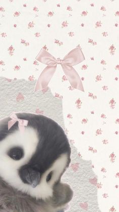 a black and white kitten with a pink bow on its head sitting in front of a flowered wallpaper